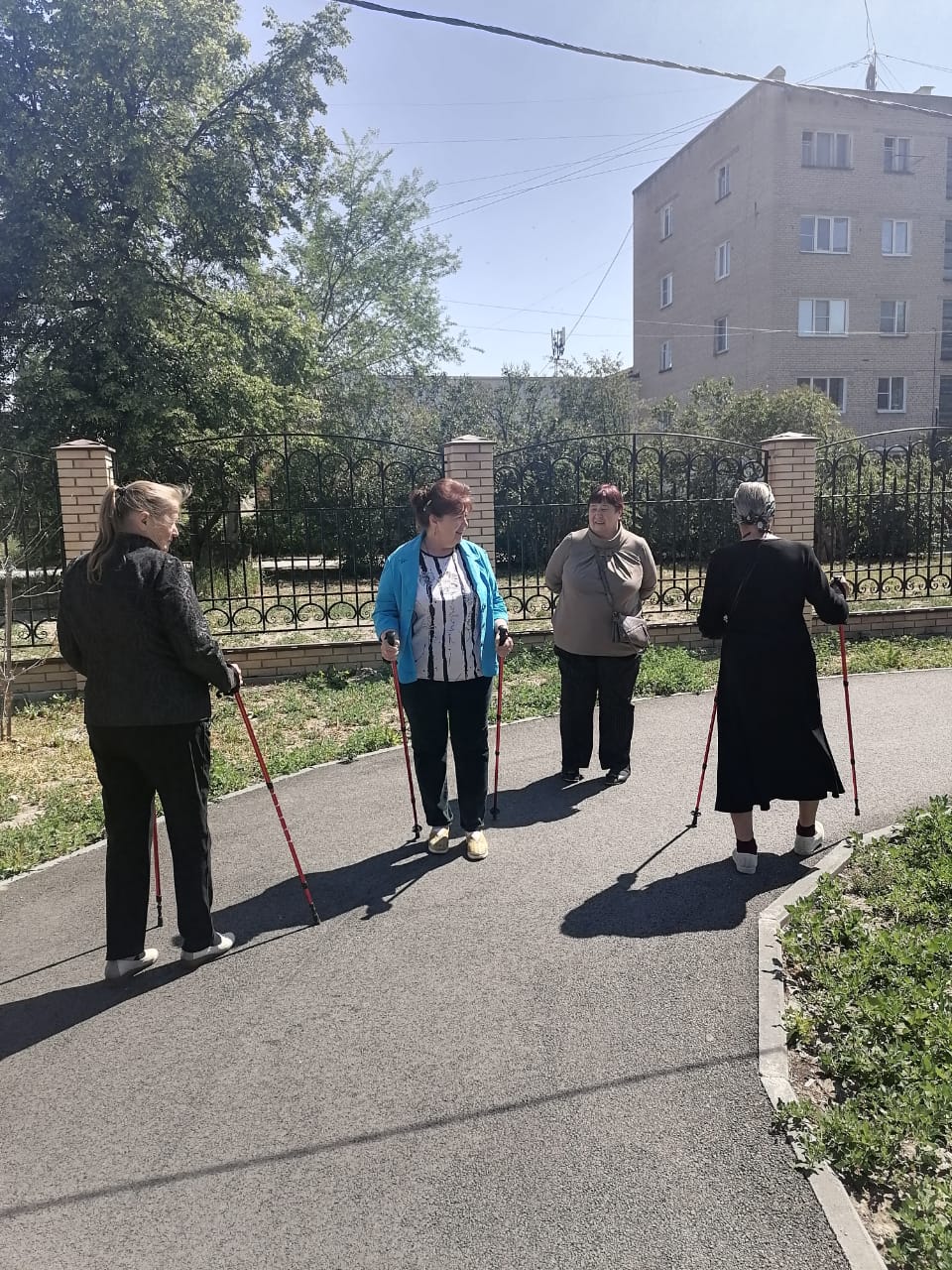 Социальный проект скандинавская ходьба